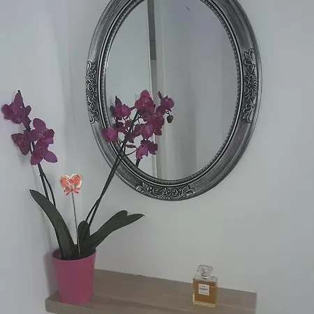 Beautiful Center Flat *